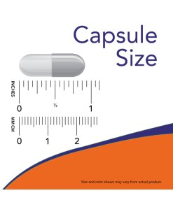 NOW - Eleuthero, 500 mg - 250 vegetabiliska kapslar