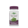 Nature's Way - Holy Basil (60 Capsules)