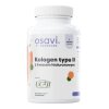 OSAVI Collagen Type II with Hyaluronic Acid (60 caps)