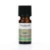 TISSERAND AROMATHERAPY Basil Ethically Harvested Oil (30 ml / 1 fl. oz.)