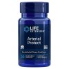 Arterial Protect - 30 vcaps