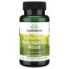 Astragalus Root