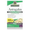 Astragalus Root