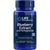 Blueberry Extract with Pomegranate - 60 vcaps