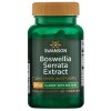 Boswellia Serrata Extract