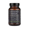 Chaga Extract