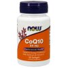 CoQ10 with Selenium & Vitamin E
