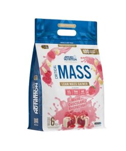 Critical Mass - Professional