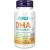 DHA Kids Fish Oil Chewables
