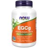 EGCg Green Tea Extract