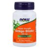 Ginkgo Biloba Double Strength