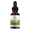 Ginkgo Biloba Liquid Extract