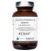 KENAY LipoCellTech™ Liposomal Iron (60 caps)