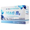 MAG B6