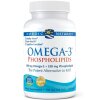 Omega-3 Phospholipids