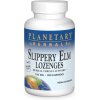 Planetary Herbals Slippery Elm Lozenges Tangerine 150mg 200 pastilles