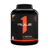 R1 Protein