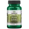 Rhodiola Rosea Extract - 60 caps