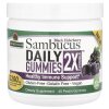 Sambucus Daily Gummies 2X Strength