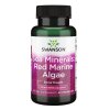 Sea Minerals: Red Marine Algae - 60 vcaps