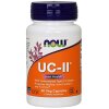 UC-II Undenatured Type II Collagen - 60 caps