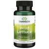 Wild Lettuce
