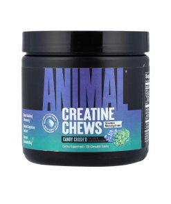 Animal