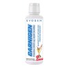 Evogen - Carnigen Liquid