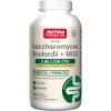 Jarrow Formulas - Saccharomyces Boulardii + MOS - 90 vcaps