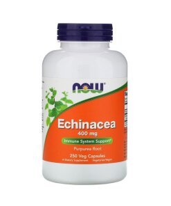 NOW Foods - Echinacea
