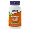 NOW Foods - Ginkgo Biloba