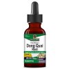 Nature's Answer - Dong Quai Root