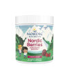 Nordic Naturals - Nordic Berries Multivitamin