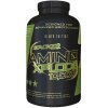 Stacker2 Europe - Amino Xplode 10