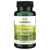 Swanson - Astragalus Root