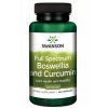 Swanson - Full Spectrum Boswellia and Curcumin