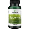 Swanson - SWANSON Berberyna 400mg 60kaps