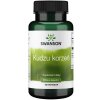Swanson - SWANSON Kudzu 500mg 60kaps